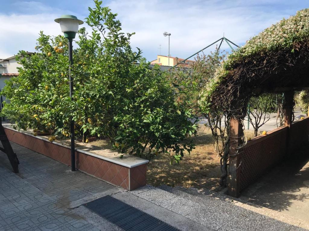 Mary Rose Bed & Breakfast Castel Volturno Bagian luar foto